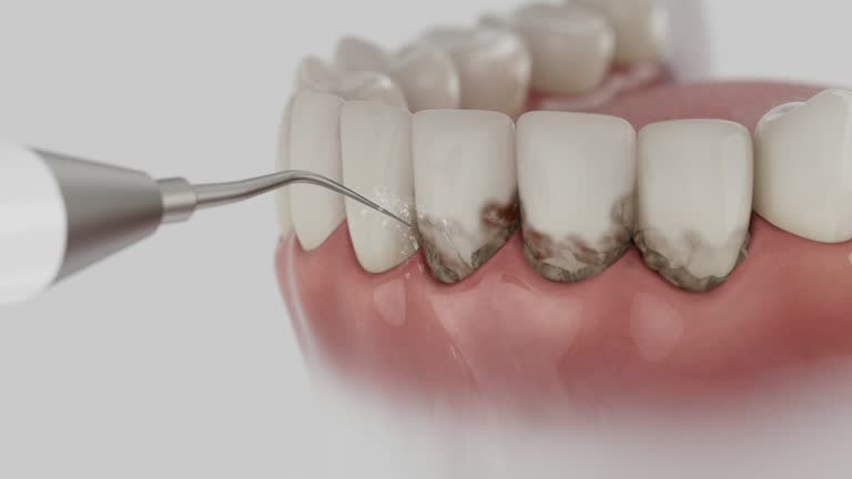 Reliable Dental contractor in La Habra Heights, CA by Dentist Open Now
